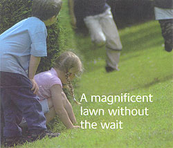 Photograph of family on a Regal lawn